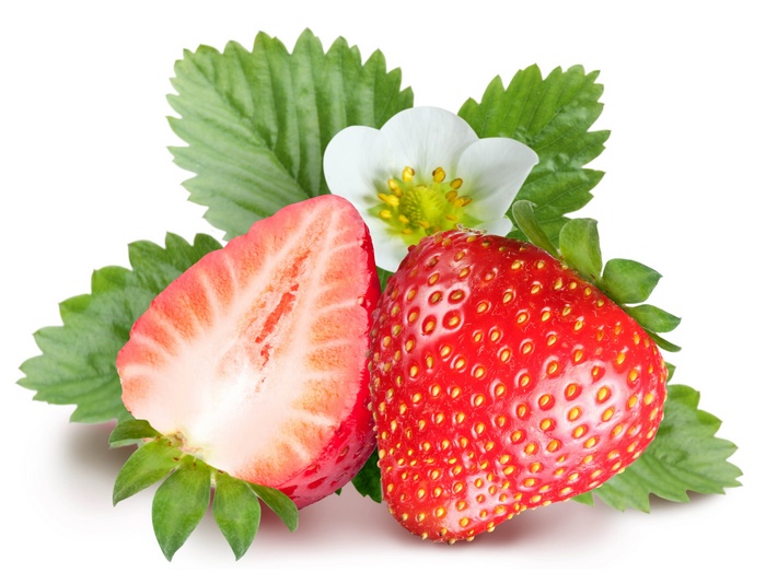 Strawberry with leaves and flower