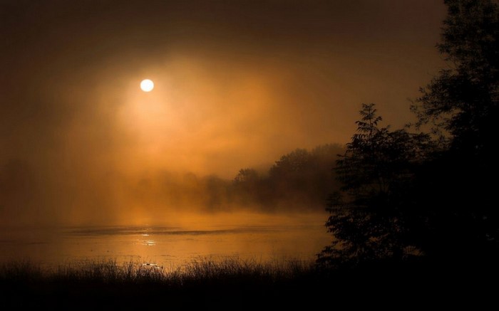 Misty sunrise over a lake with trees