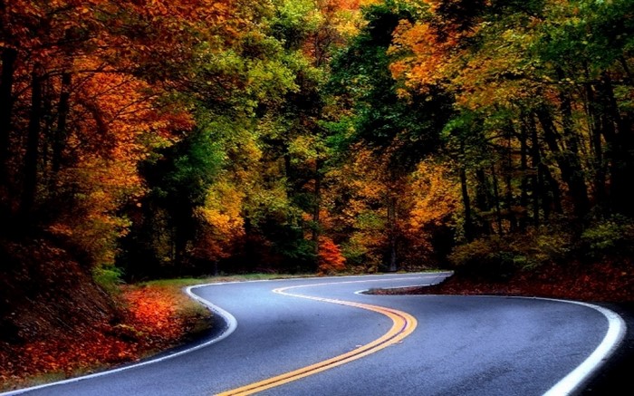 Winding road through a colorful autumn forest