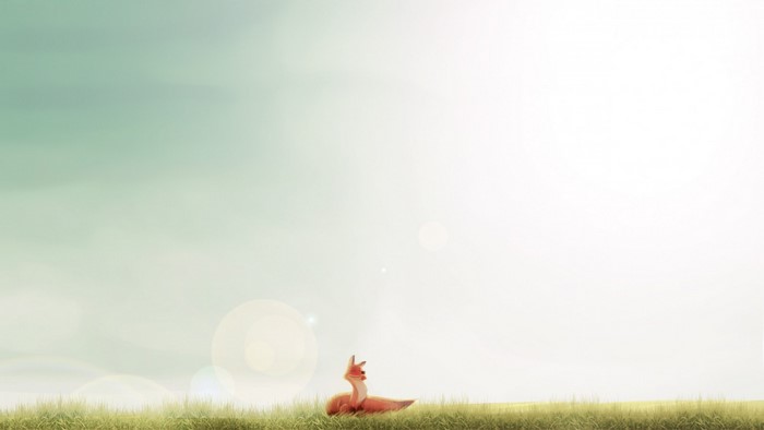 Fox sitting in grass with sunlight