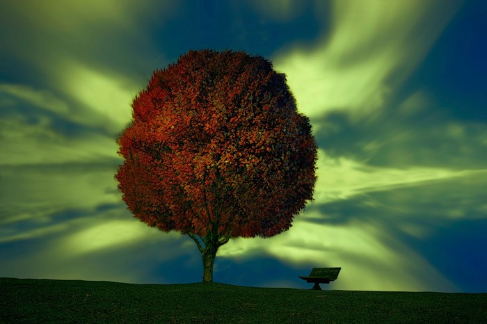 Autumn tree and bench under dramatic sky