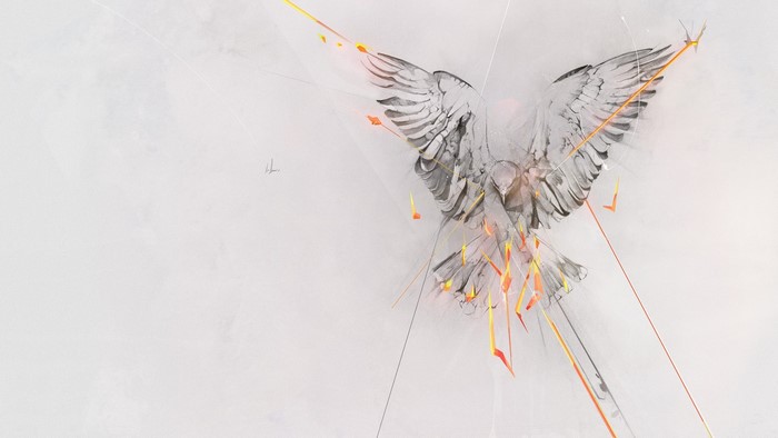 Drawing of a bird with orange accents