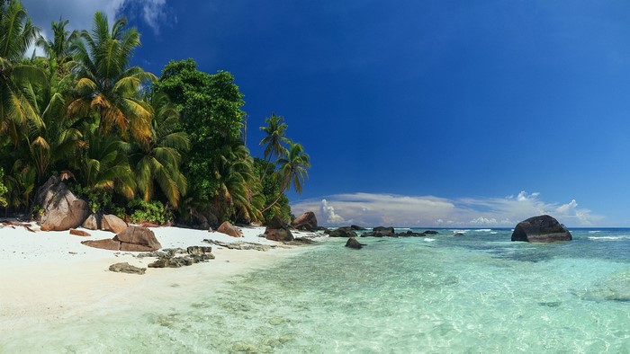 Tropical beach with palm trees and clear turquoise water