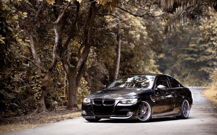 Black BMW E92 parked on a road in a forest