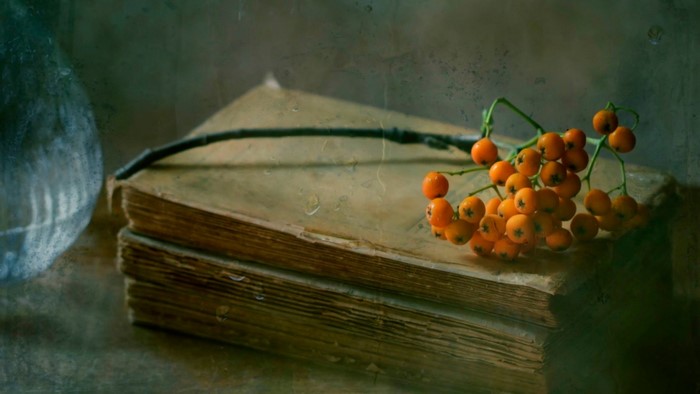 Still life of berries on old books