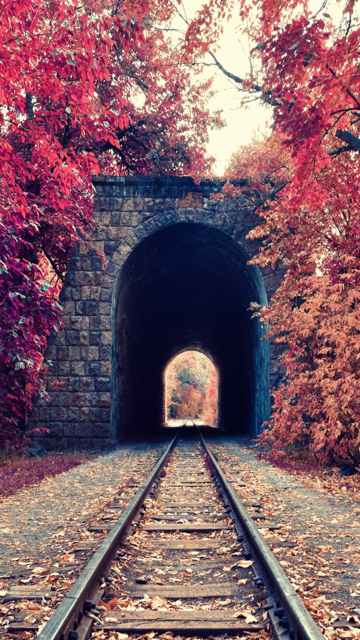 Train tracks leading to a stone tunnel surrounded by autumn trees