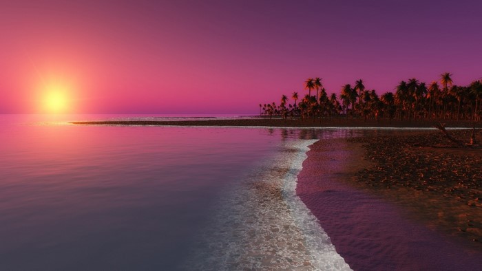Sunset over a tropical beach with palm trees