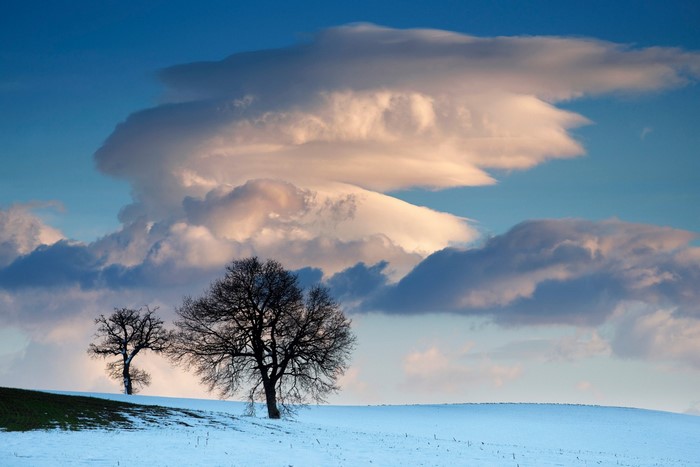 Snowy landscape with trees and dramatic clouds at sunset