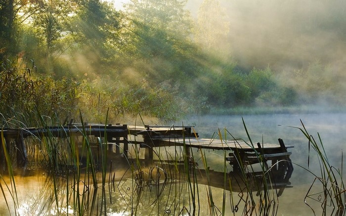 Wooden dock on a misty lake with sun rays