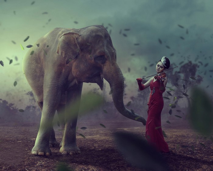 Elephant and woman playing violin in a misty forest