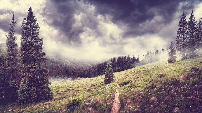Misty mountain forest landscape with a hiking trail
