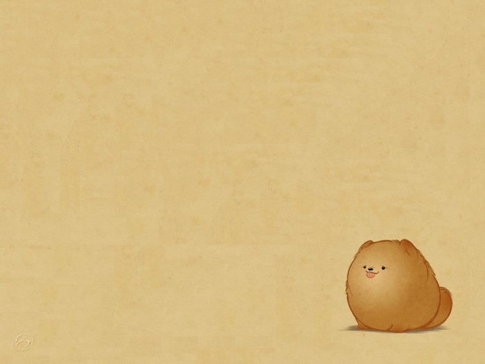 Cute fluffy dog sitting on a textured background