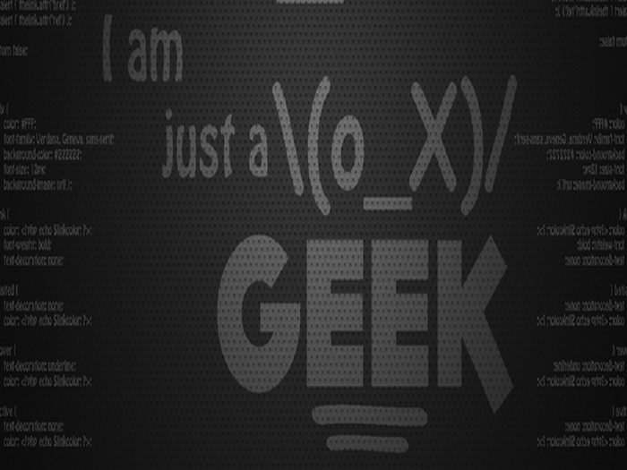 I am just a (o_X)/ GEEK text