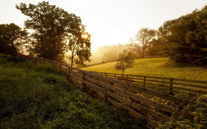 Sunrise over a fenced field with trees