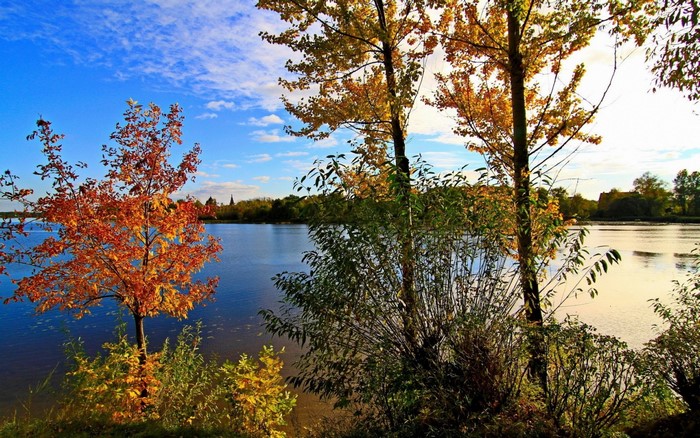 Autumn trees by a lake under a blue sky