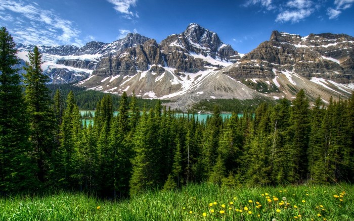 Forest and Mountains with Turquoise Lake