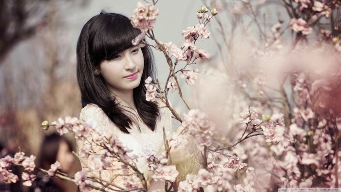 Young Asian woman in white dress among cherry blossoms