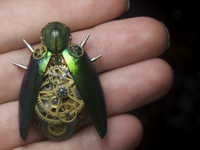 Steampunk beetle jewelry with gears and iridescent wings
