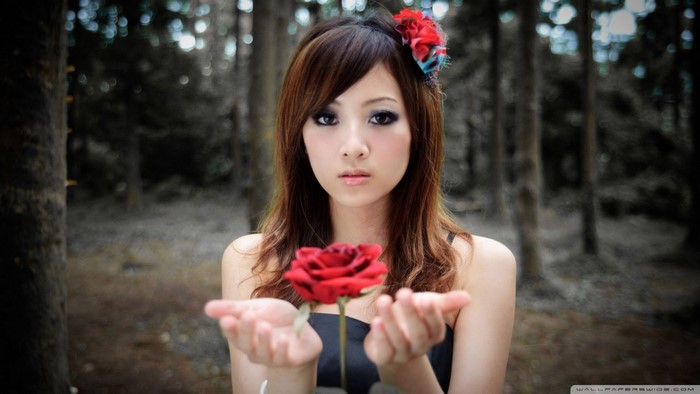Asian woman holding a red rose in a forest