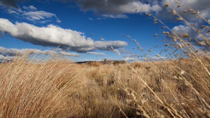 Dry Grass Field Under a Cloudy Blue Sky