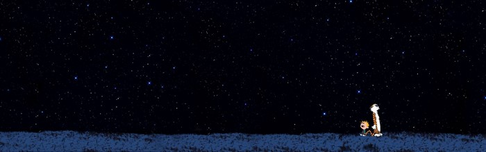Calvin and Hobbes looking at the starry night sky