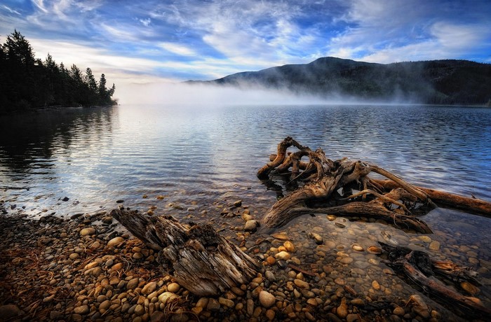 Misty lake with driftwood and mountains