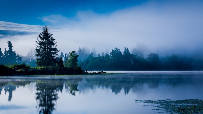 Misty forest reflected in a calm lake at dawn