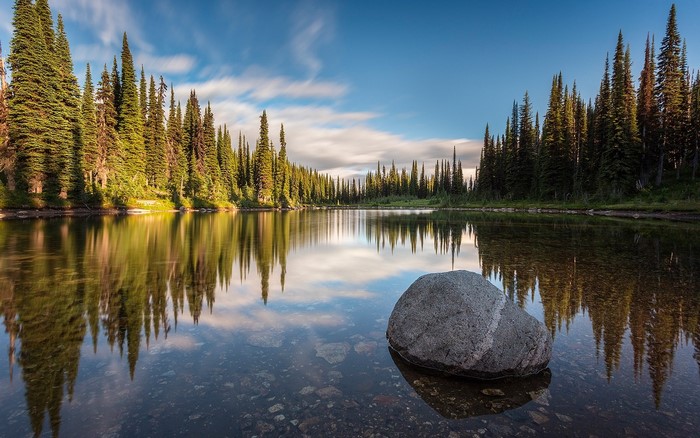 Serene Lake and Pine Forest in British Columbia