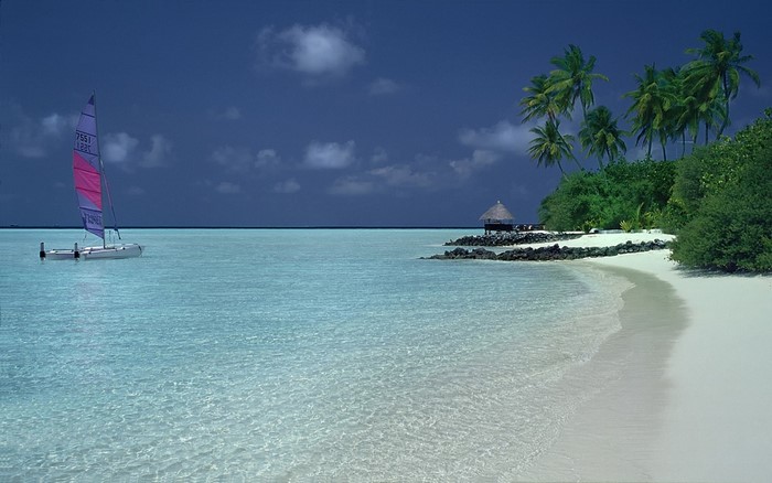 Catamaran sailing in a tropical lagoon with a sandy beach and palm trees