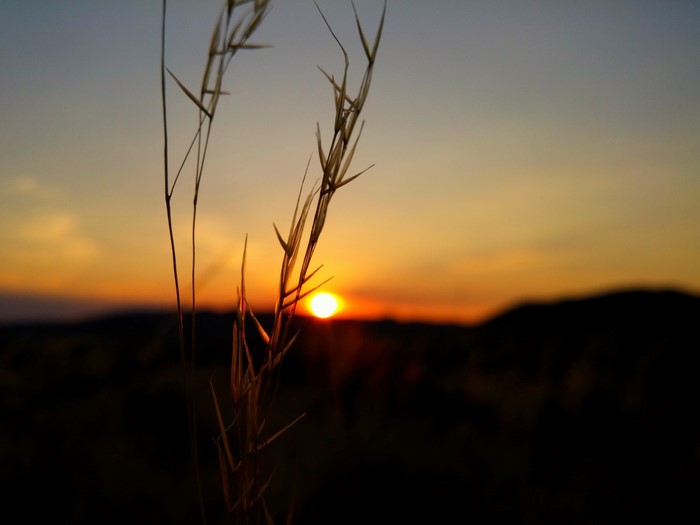 Sunset over a hill with grass in the foreground