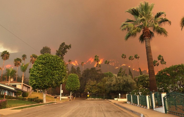 Wildfire raging on a hillside above a suburban neighborhood