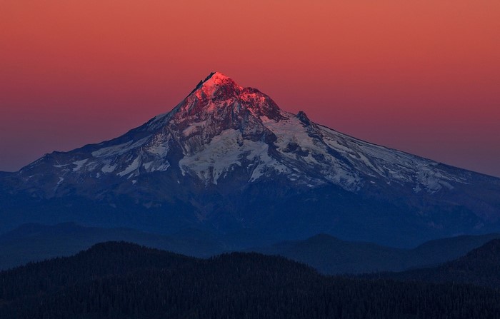 Snowy mountain peak illuminated by sunrise over forested hills