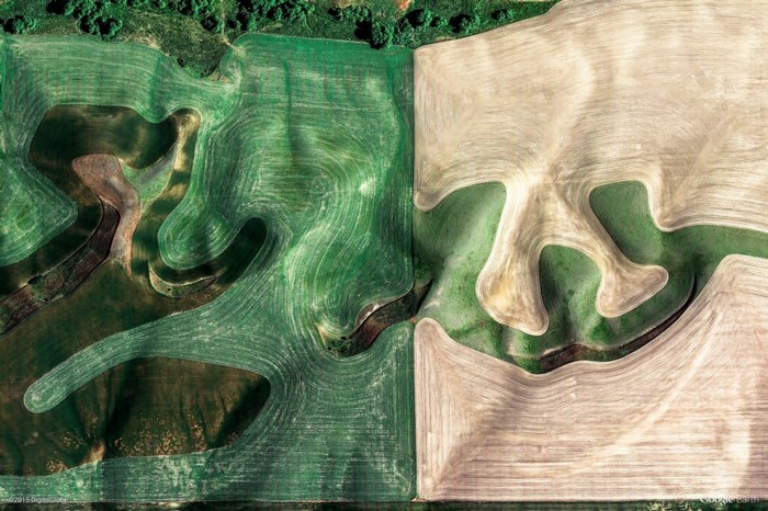 Aerial view of contoured farmland with green and brown fields