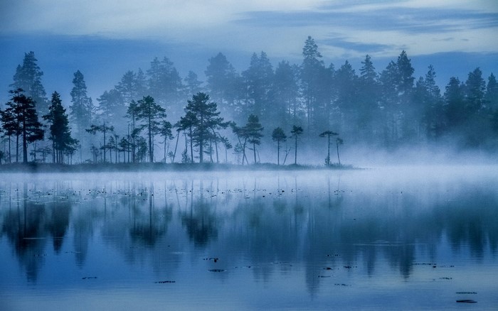 Misty forest reflected in a calm lake at dawn