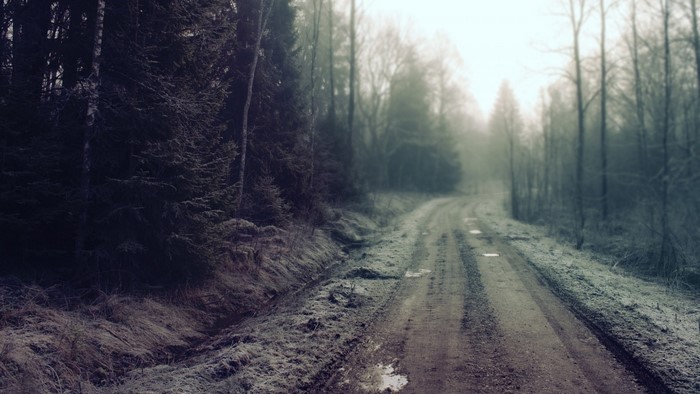 Dirt road through a foggy winter forest in Finland