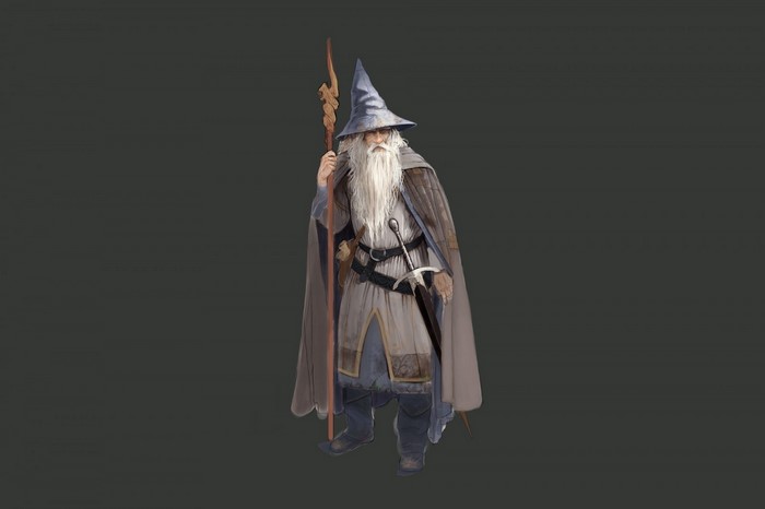 Gandalf the Grey from The Lord of the Rings