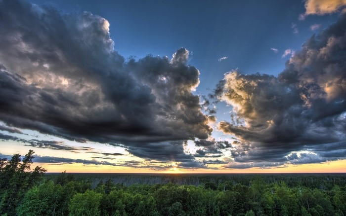 Sunset over a forest with dramatic clouds