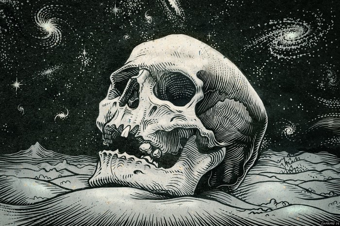 Skull in a cosmic landscape