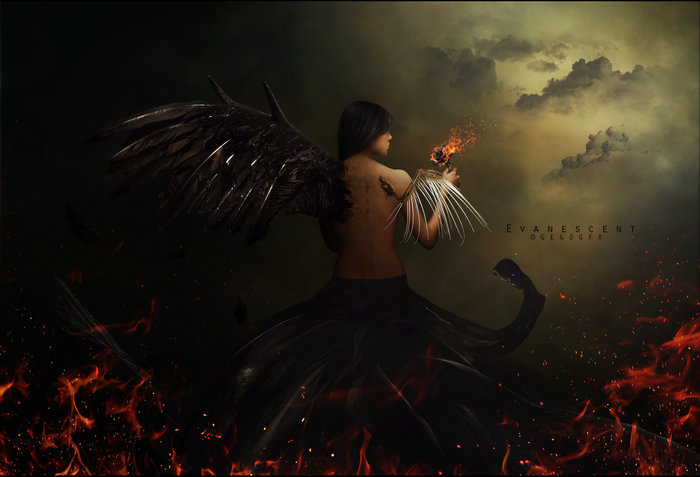 Angel with black wings holding a burning rose