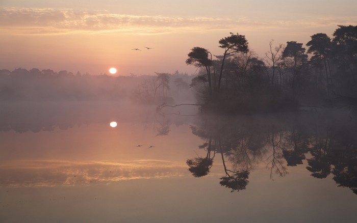 Sunrise over misty lake with birds flying