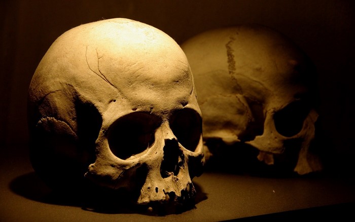Two skulls in darkness