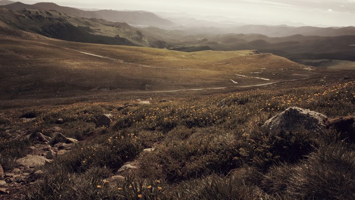 Mountain landscape with rolling hills and wildflowers