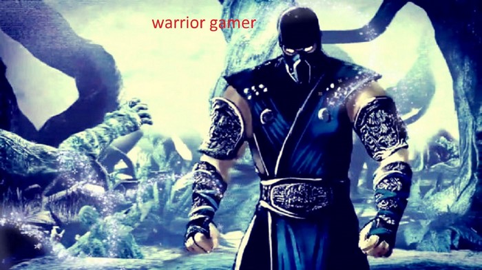 Sub Zero from Mortal Kombat warrior gamer