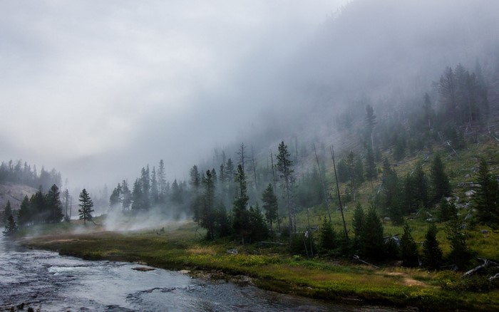 Misty forest landscape with a river in Yellowstone National Park