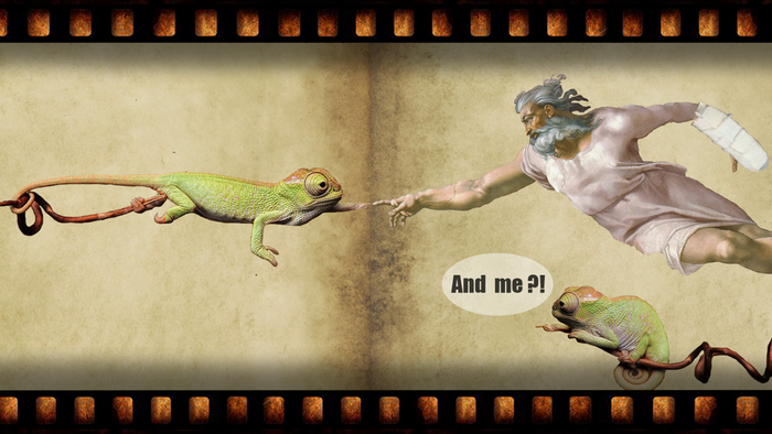 The Creation of Adam with Chameleons