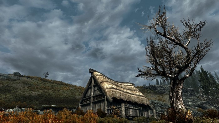 The Elder Scrolls V Skyrim landscape with a house and tree