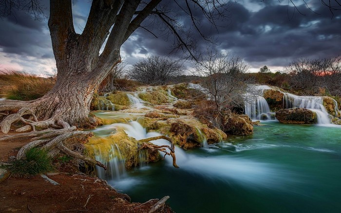 Tree roots by a cascading waterfall under a cloudy sky