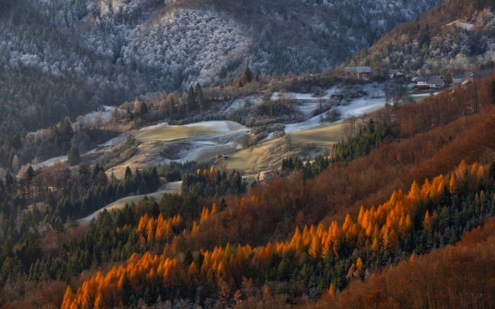 Autumn forest with frost on mountain slopes