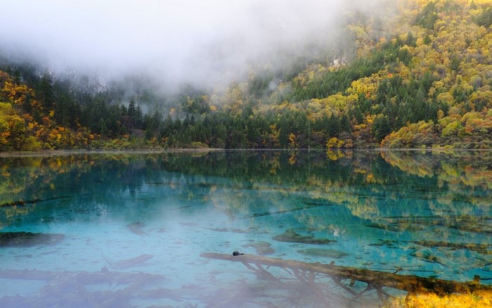 Turquoise lake with autumn forest and mist