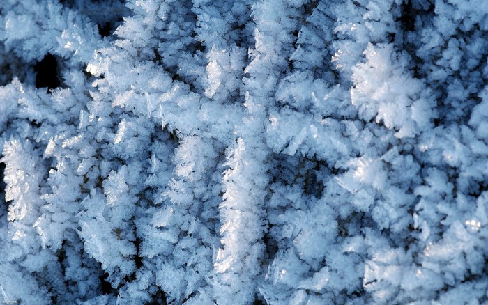Close-up of frost crystals on a dark surface